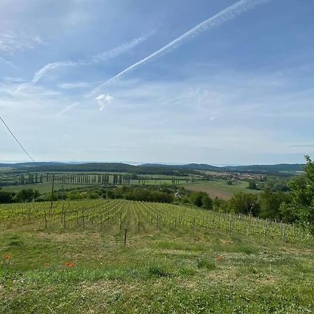 Présház a hegytetőn Apartamento Pécsely Exterior foto