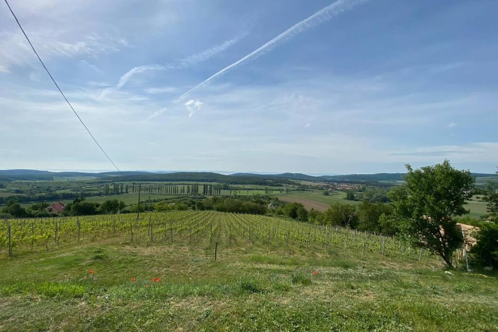 Présház a hegytetőn Apartamento Pécsely Exterior foto